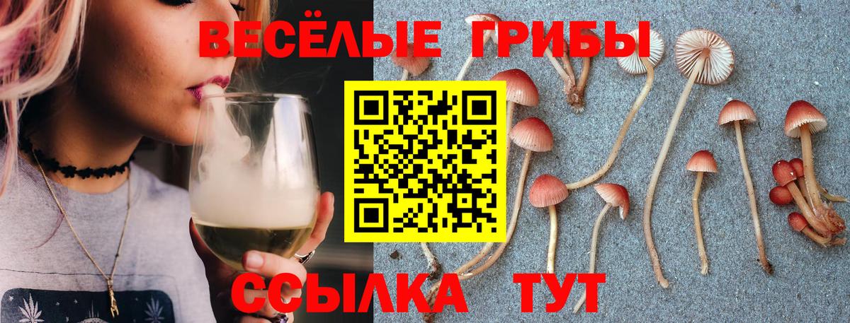 Псилоцибиновые грибы MAGIC MUSHROOMS Черкесск