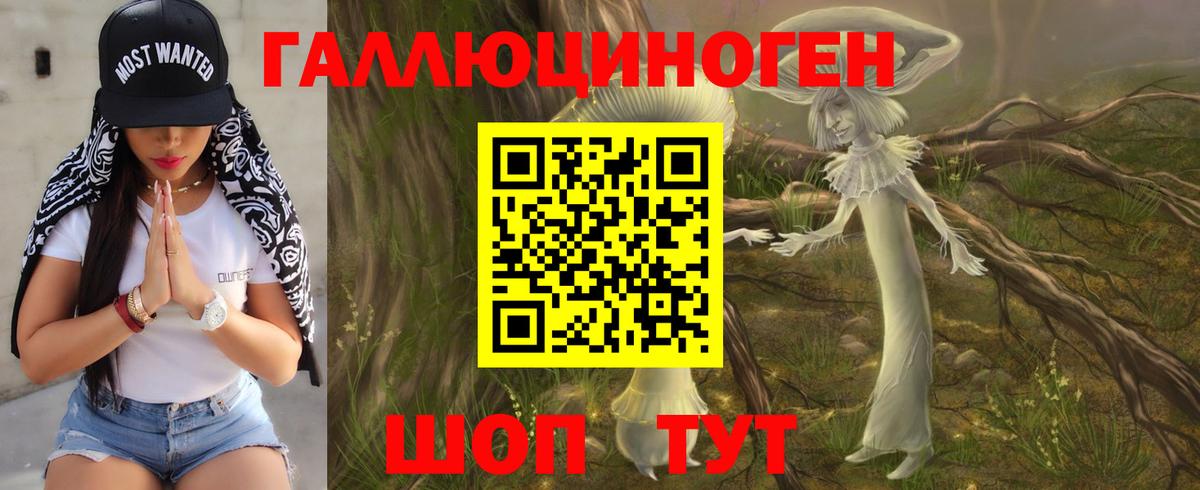 что такое   Псилоцибиновые грибы мухоморы  Вход с VPN  Псилоцибиновые грибы GOLDEN TEACHER  Черкесск 