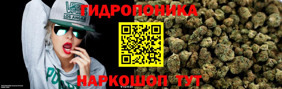 Бошки Шишки MAZAR  Бошки Шишки тримм  Вход с VPN  МАРИХУАНА планчик  Черкесск 